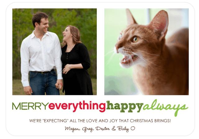 Our 2011 Christmas Card (plus address labels)!