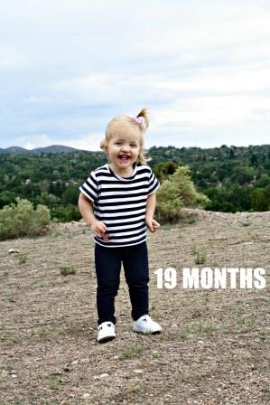 19 Months