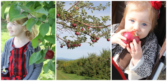 Apple Picking at Gould Hill Farm