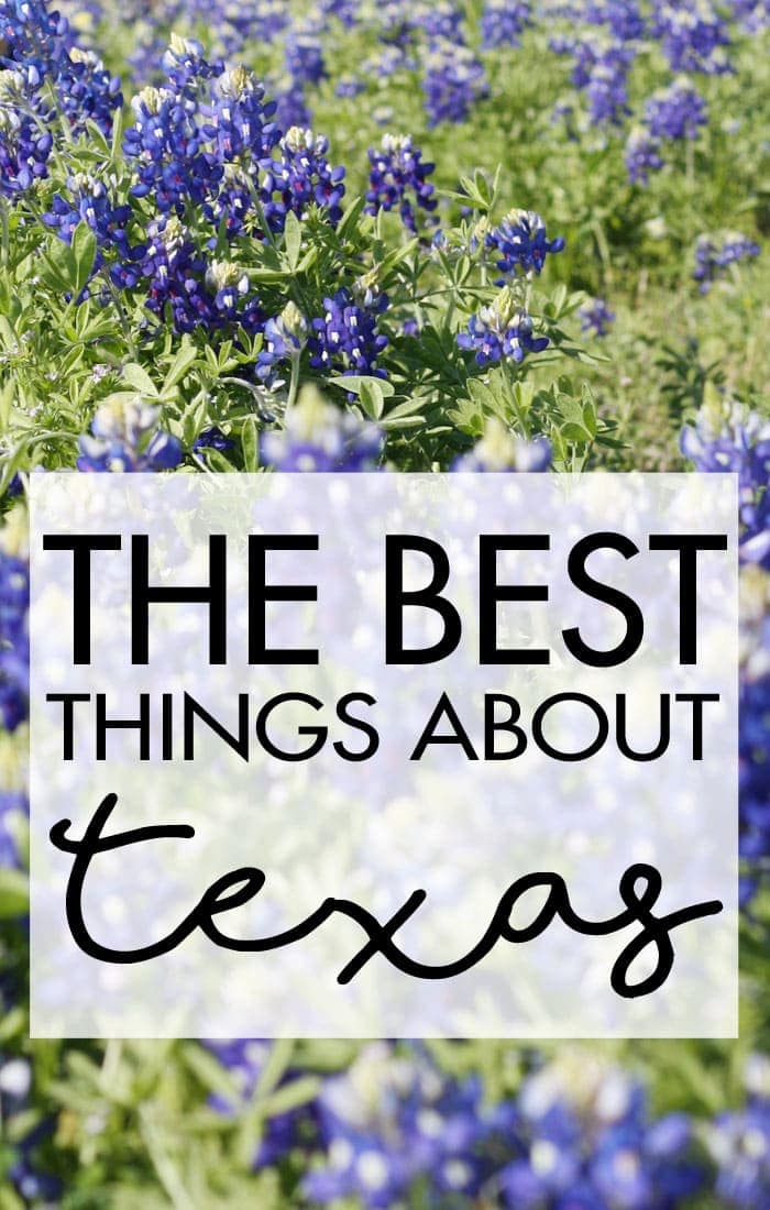 Bluebonnets, BBQ, NASA and fresh spring water are just a few awesome things about Texas! Come see what else made my list! #ad #OzarkaCountry