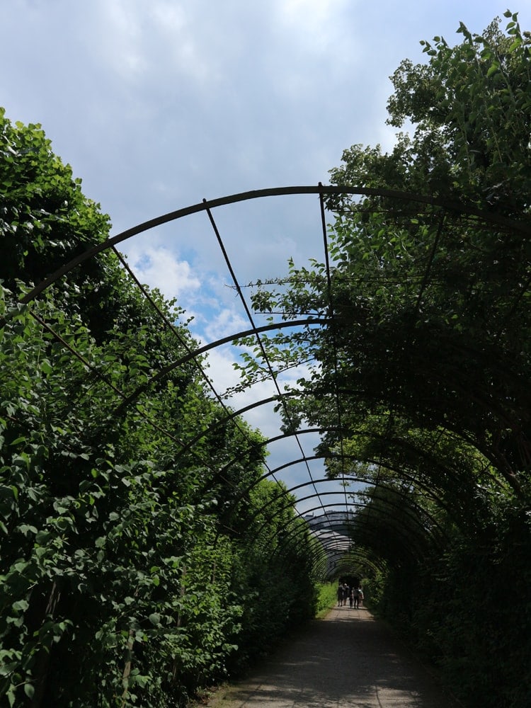 Sound of Music Tour in Salzburg, Austria