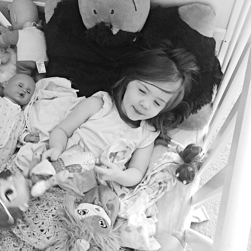 a photo an hour 1/22/17 8:15 am