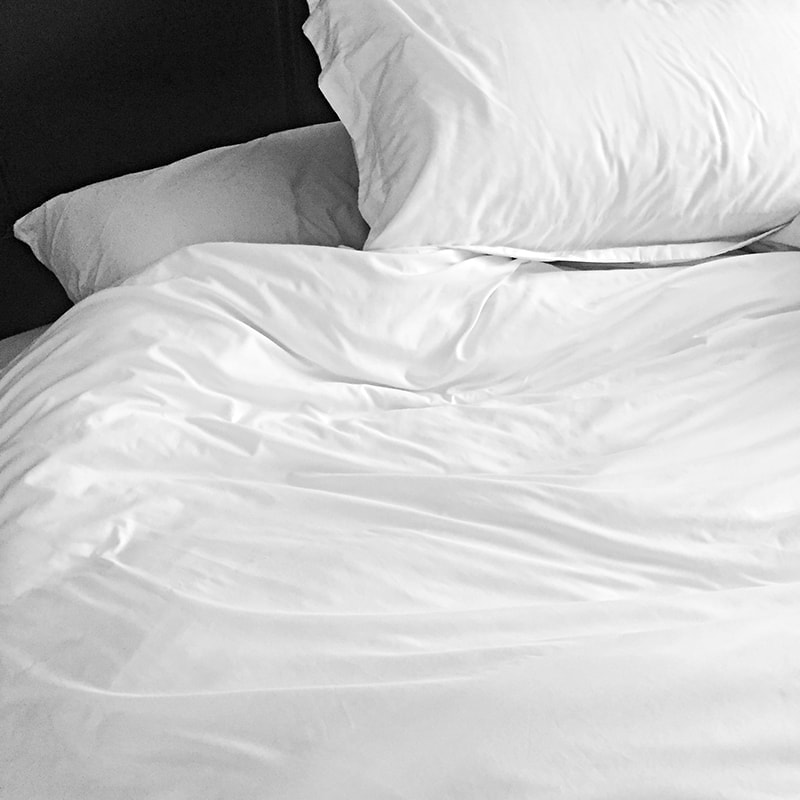 a photo an hour 1/22/17 11:30 a.m.