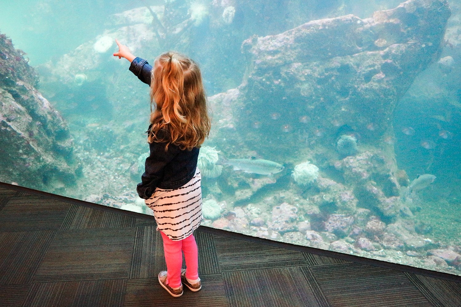 Seattle Travel Guide: Seattle with Kids by popular lifestyle blogger Meg O. on the Go