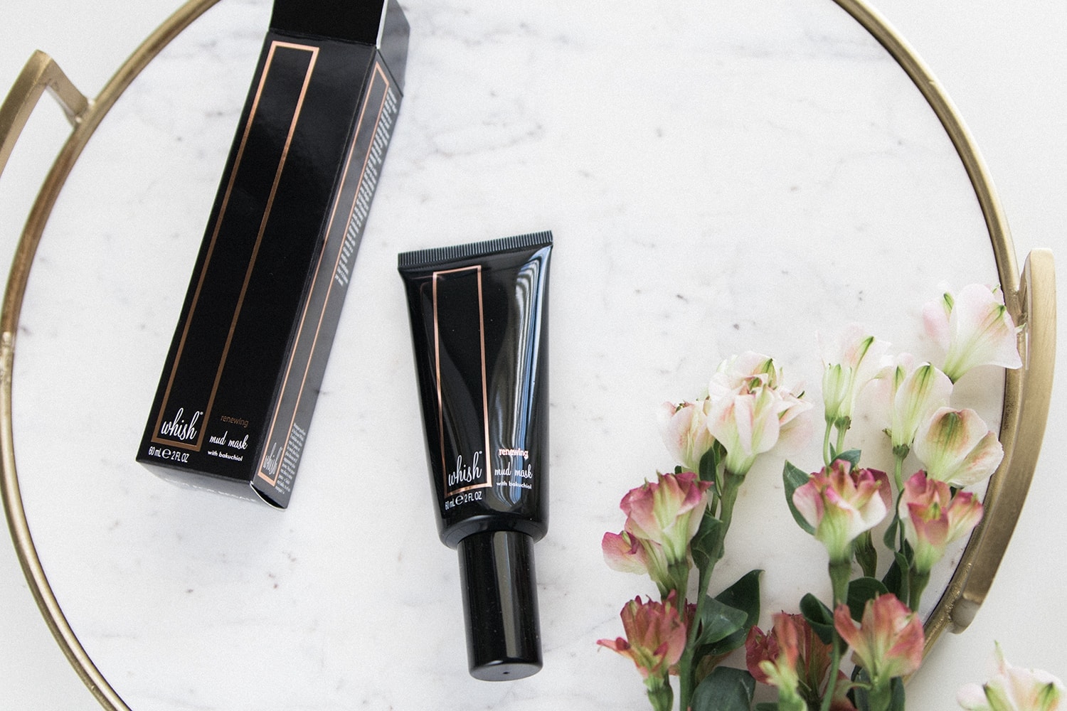 Whish Beauty Renewing Mud Mask from the FabFitFun fall box