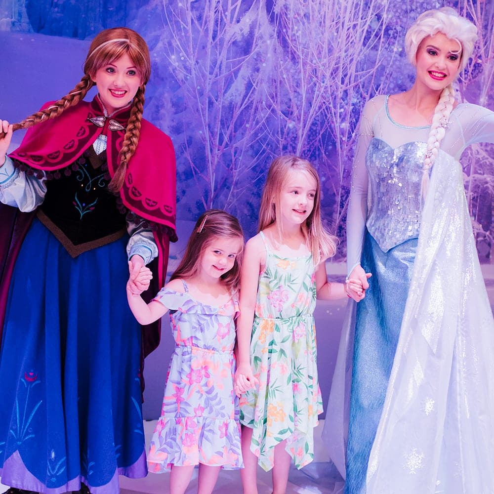 Disney cruise Frozen Meet and Greet
