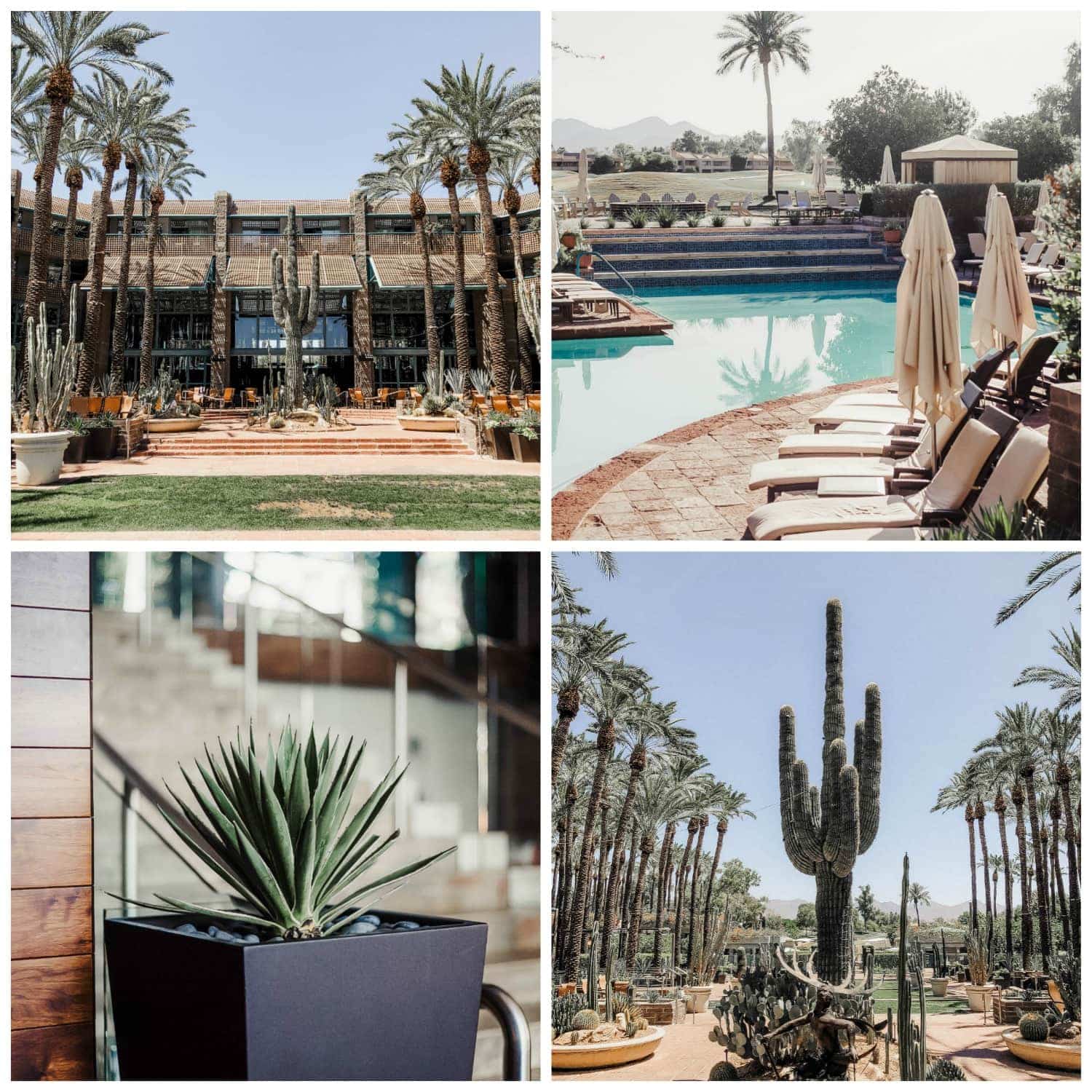 Hyatt Regency Scottsdale Resort at Gainey Ranch - as seen in Scottsdale travel guide by Meg O. on the Go