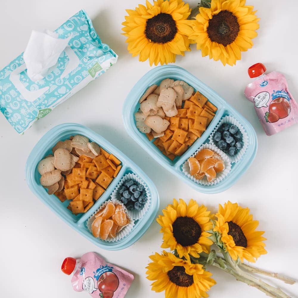 Houston mommy blogger Meg O. on the Go shares some road trip snack ideas for kids