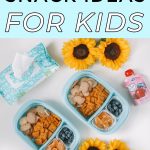 Houston mommy blogger Meg O. on the Go shares some road trip snack ideas for kids