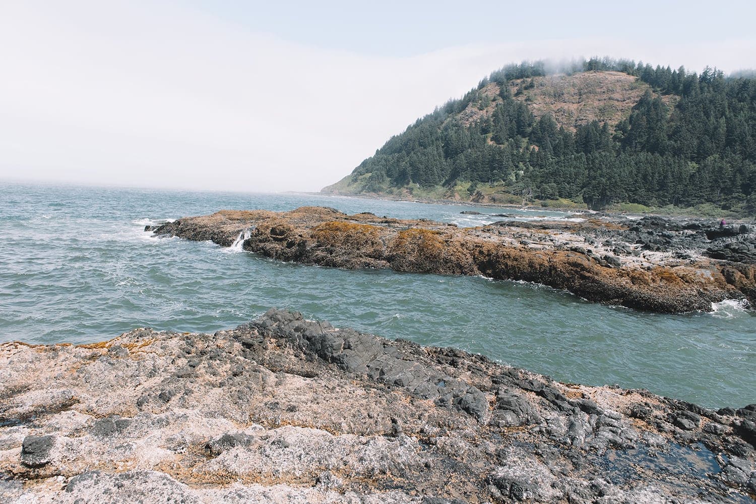 Cape Perpetua, Oregon