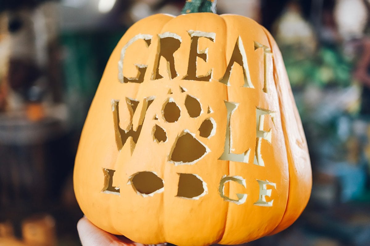Howl-O-Ween at Great Wolf Lodge in Grapevine, Texas