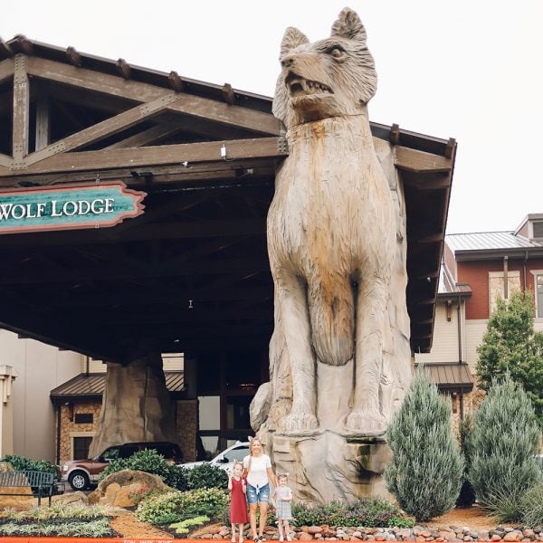 Our Weekend Getaway to Great Wolf Lodge in Grapevine, Texas