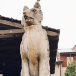 Houston mommy blogger Meg O. on the Go shares her travel guide to Great Wolf Lodge in Grapevine, Texas