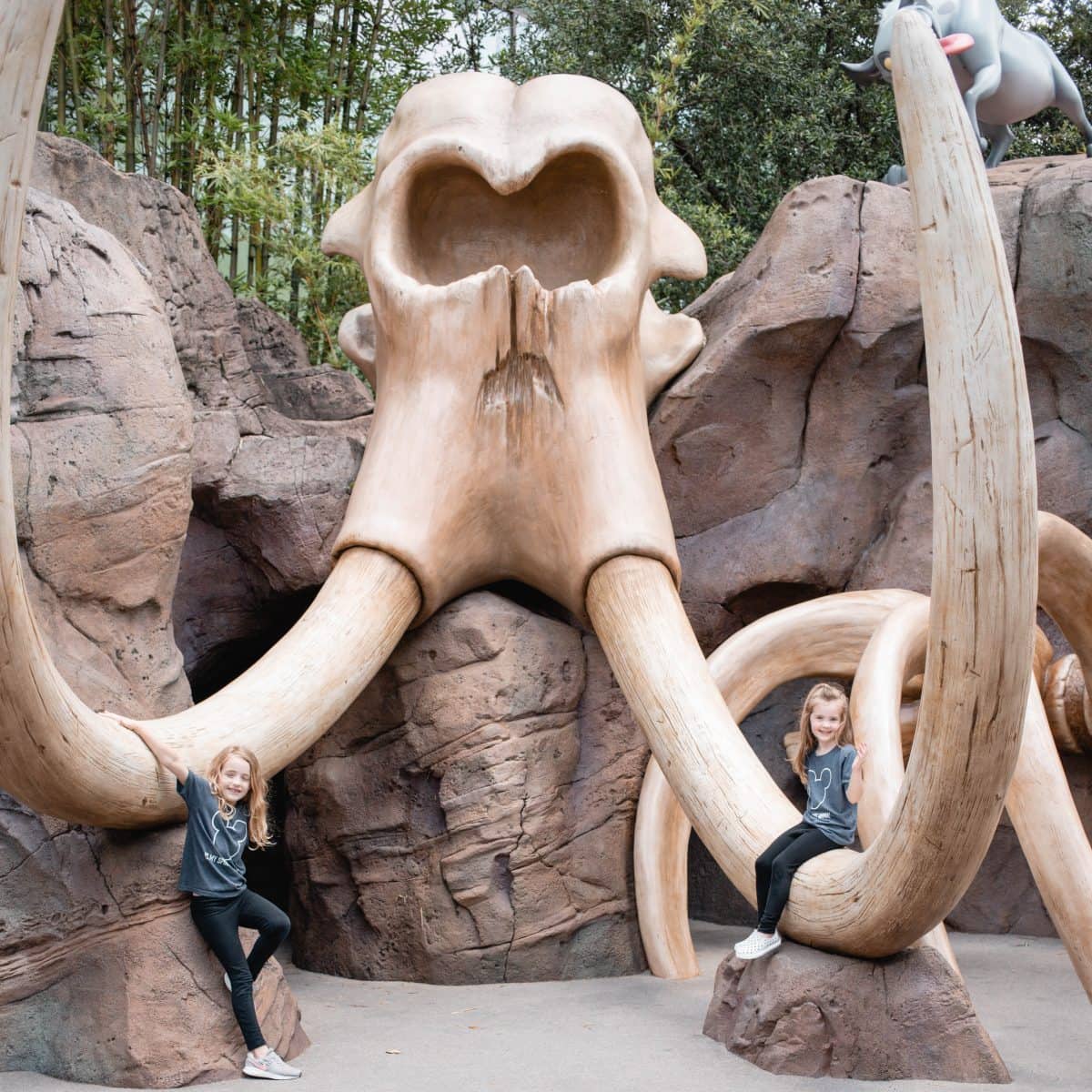 Lion King at Walt Disney World Art of Animation Resort