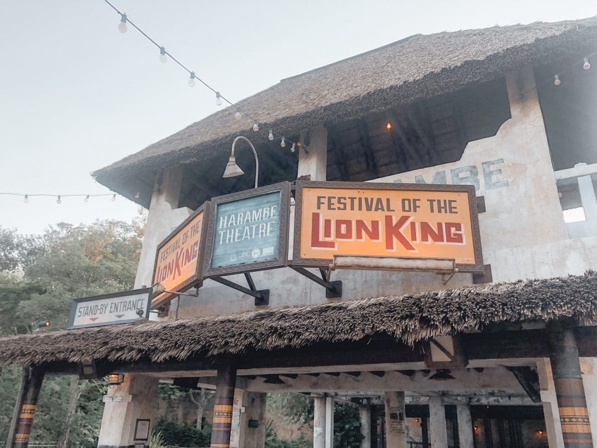 Houston lifestyle blogger Meg O. on the Go shares her favorite Disney World for kids experiences for preschoolers and up - Festival of the Lion King in Animal Kingdom