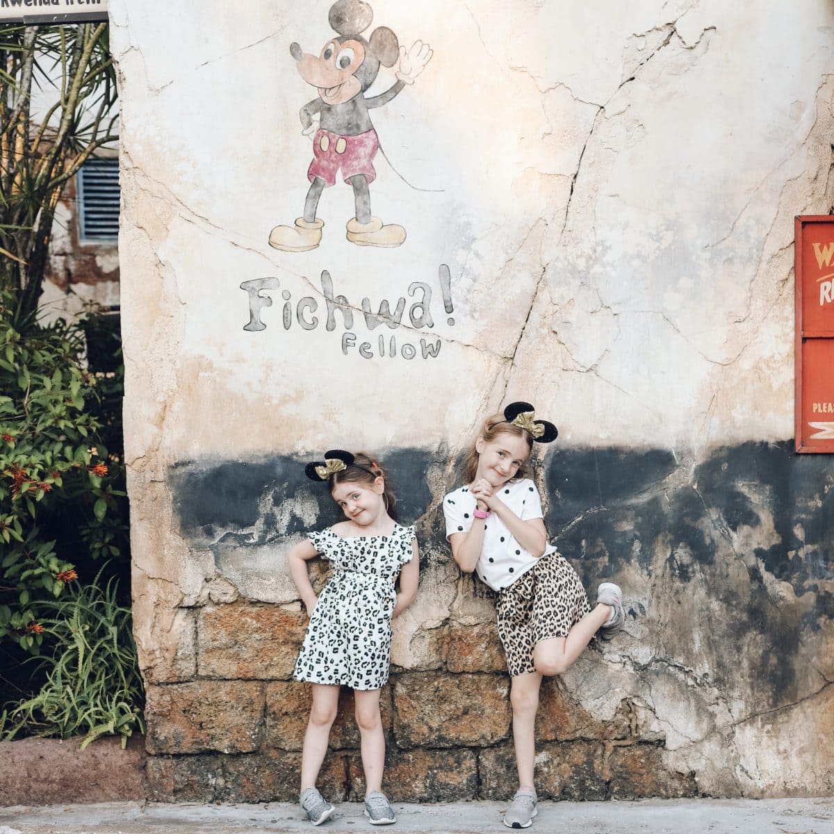 Fichwa Wall in Harambe Market - Animal Kingdom Walt Disney World