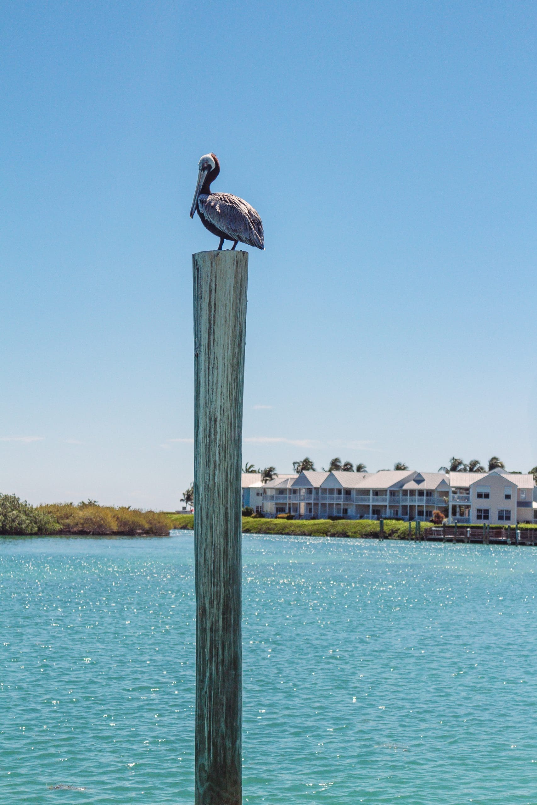Hawks Cay Resort Review: A Luxurious Travel Destination in the Florida Keys