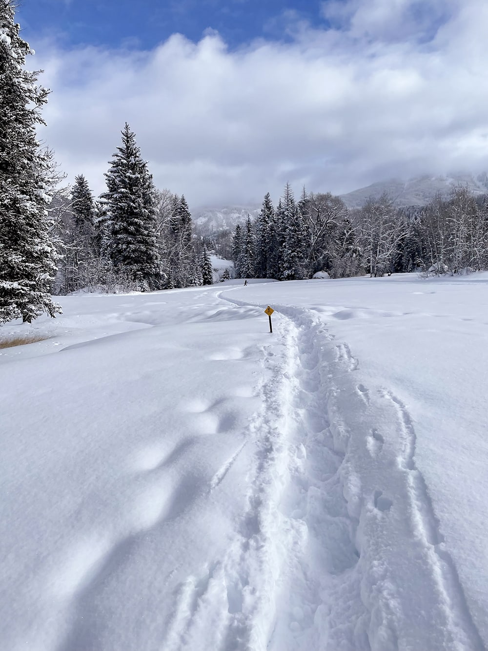 Steamboat Snowshoeing