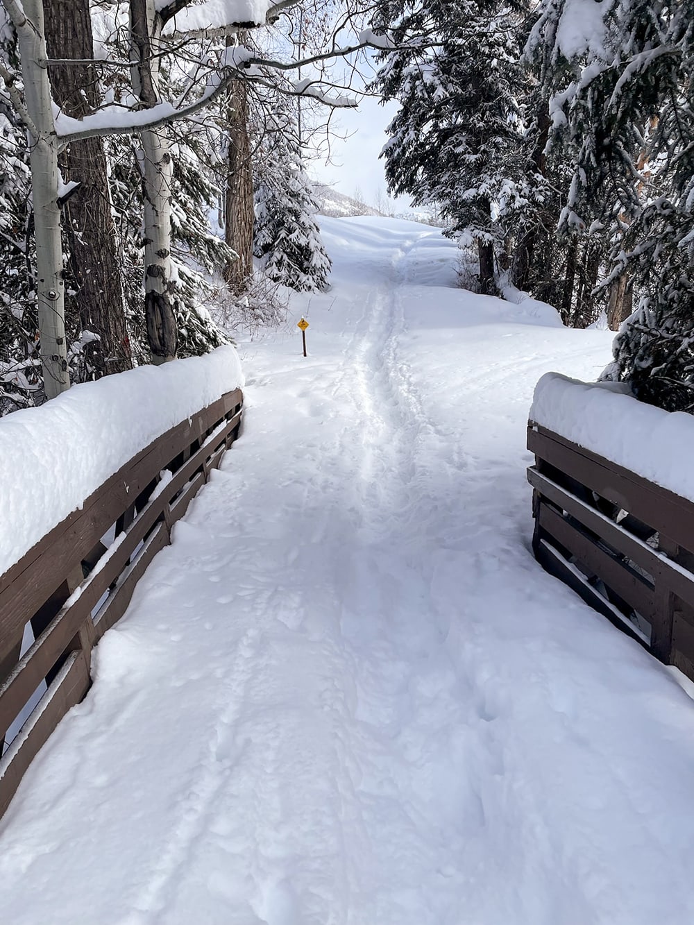 Snowshoeing in Steamboat Springs, Colorado